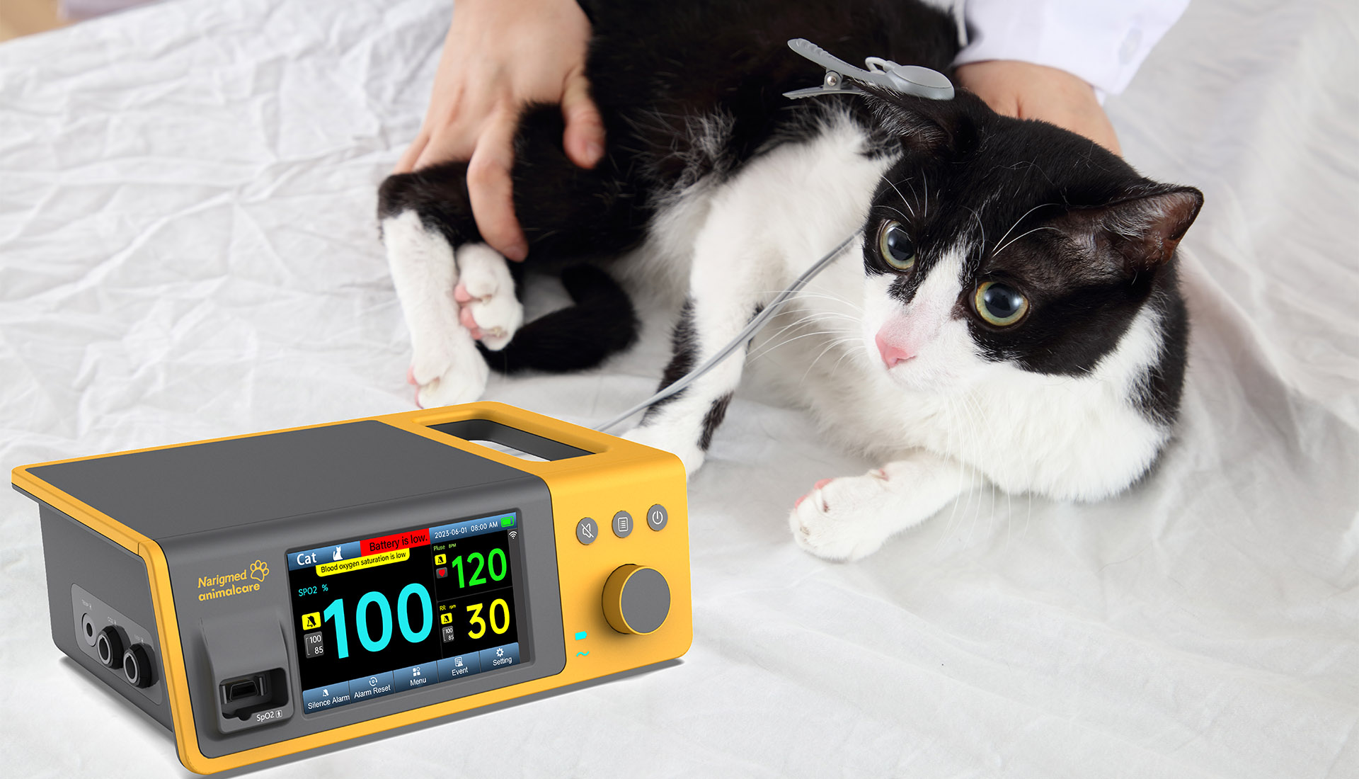 Veterinary Inspection